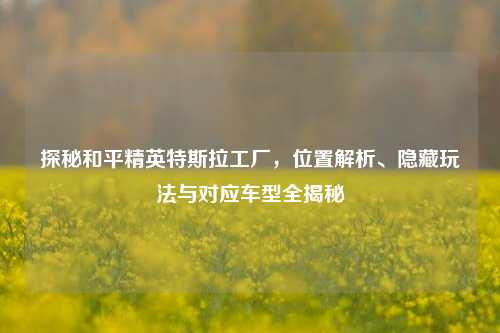 探秘和平精英特斯拉工厂，位置解析、隐藏玩法与对应车型全揭秘