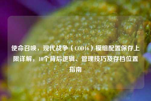 使命召唤，现代战争（COD16）模组配置保存上限详解，10个背后逻辑、管理技巧及存档位置指南