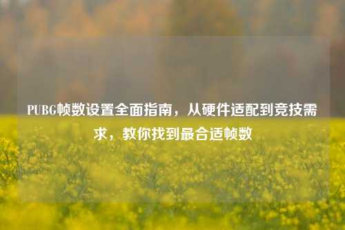 PUBG帧数设置全面指南，从硬件适配到竞技需求，教你找到最合适帧数