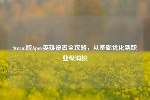 Steam版Apex英雄设置全攻略,从基础优化到职业级调校