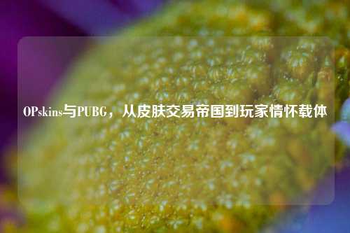 OPskins与PUBG,从皮肤交易帝国到玩家情怀载体
