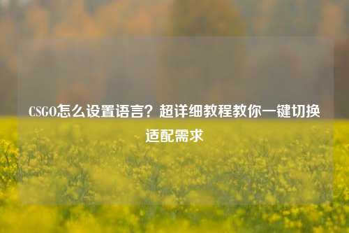 CSGO怎么设置语言？超详细教程教你一键切换适配需求
