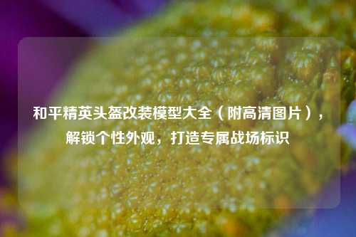 和平精英头盔改装模型大全（附高清图片），解锁个性外观，打造专属战场标识