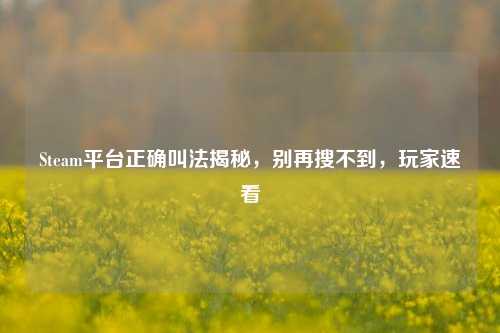 Steam平台正确叫法揭秘，别再搜不到，玩家速看