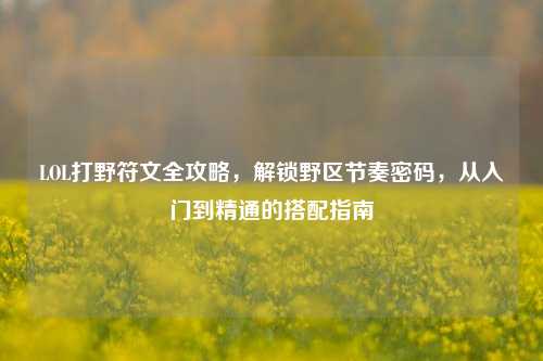 LOL打野符文全攻略，解锁野区节奏密码，从入门到精通的搭配指南