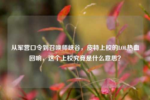 从军营口令到召唤师峡谷，皮特上校的LOL热血回响，这个上校究竟是什么意思？