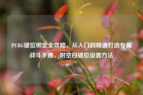 PUBG键位绑定全攻略，从入门到精通打造专属战斗手感，附空白键位设置方法