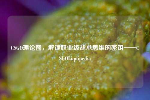CSGO理论图,解锁职业级战术思维的密钥——CSGOLiquipedia