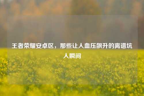 王者荣耀安卓区,那些让人血压飙升的离谱坑人瞬间
