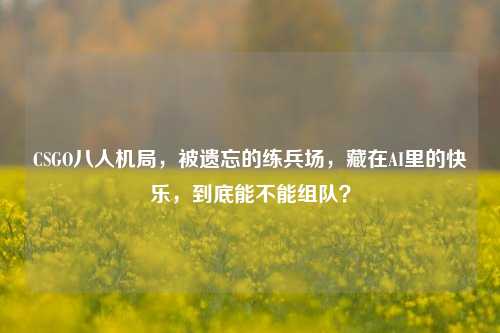 CSGO八人机局，被遗忘的练兵场，藏在AI里的快乐，到底能不能组队？