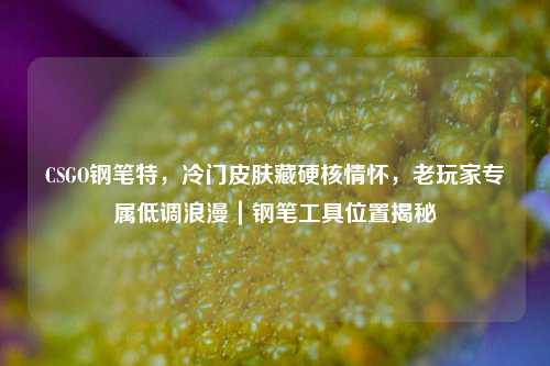 CSGO钢笔特，冷门皮肤藏硬核情怀，老玩家专属低调浪漫｜钢笔工具位置揭秘