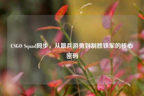 CSGO Squad同步,从散兵游勇到制胜铁军的核心密码