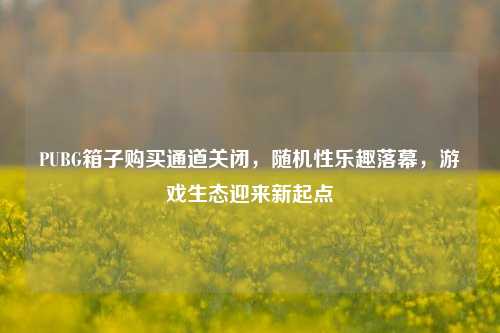 PUBG箱子购买通道关闭，随机性乐趣落幕，游戏生态迎来新起点