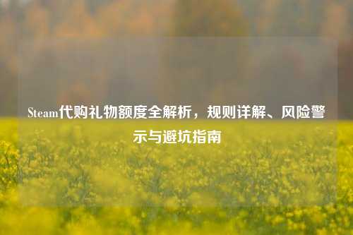 Steam代购礼物额度全解析，规则详解、风险警示与避坑指南