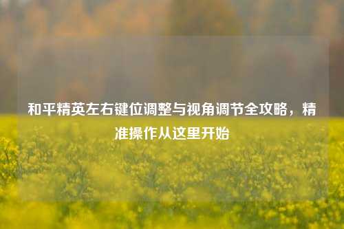 和平精英左右键位调整与视角调节全攻略,精准操作从这里开始