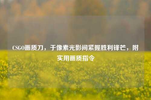 CSGO画质刀，于像素光影间紧握胜利锋芒，附实用画质指令