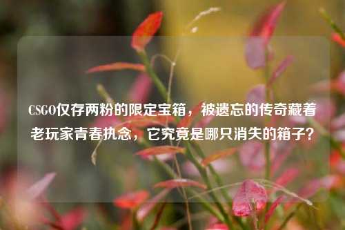 CSGO仅存两粉的限定宝箱，被遗忘的传奇藏着老玩家青春执念，它究竟是哪只消失的箱子？