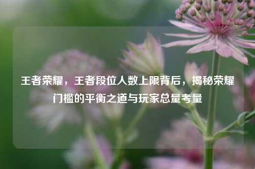 王者荣耀，王者段位人数上限背后，揭秘荣耀门槛的平衡之道与玩家总量考量