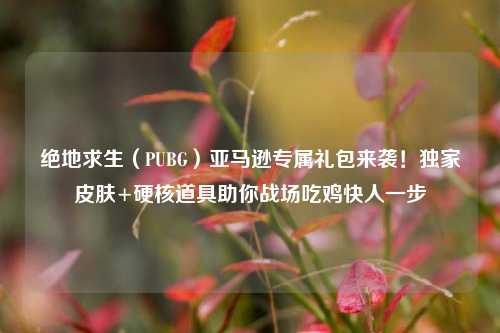 绝地求生（PUBG）亚马逊专属礼包来袭！独家皮肤+硬核道具助你战场吃鸡快人一步