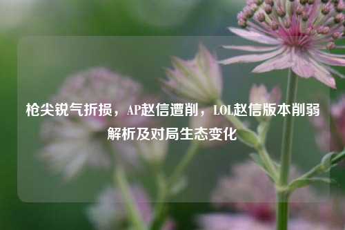 枪尖锐气折损，AP赵信遭削，LOL赵信版本削弱解析及对局生态变化