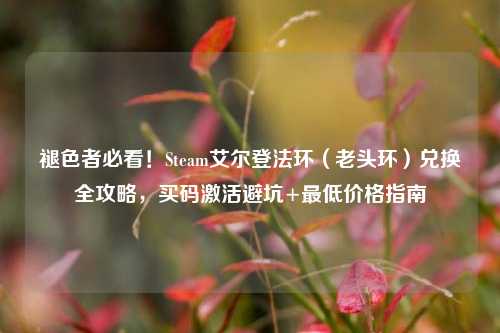 褪色者必看！Steam艾尔登法环（老头环）兑换全攻略，买码激活避坑+最低价格指南