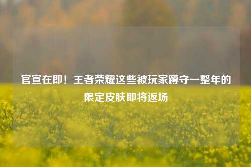 官宣在即！王者荣耀这些被玩家蹲守一整年的限定皮肤即将返场