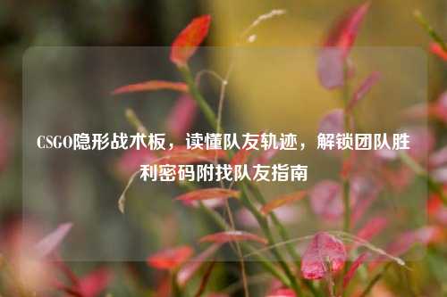 CSGO隐形战术板,读懂队友轨迹,解锁团队胜利密码附找队友指南