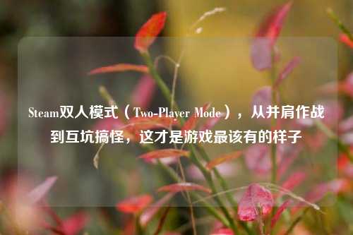 Steam双人模式（Two-Player Mode），从并肩作战到互坑搞怪，这才是游戏最该有的样子