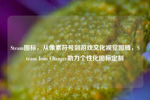 Steam图标,从像素符号到游戏文化视觉图腾,Steam Icon Changer助力个性化图标定制