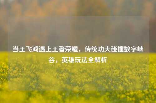 当王飞鸿遇上王者荣耀，传统功夫碰撞数字峡谷，英雄玩法全解析