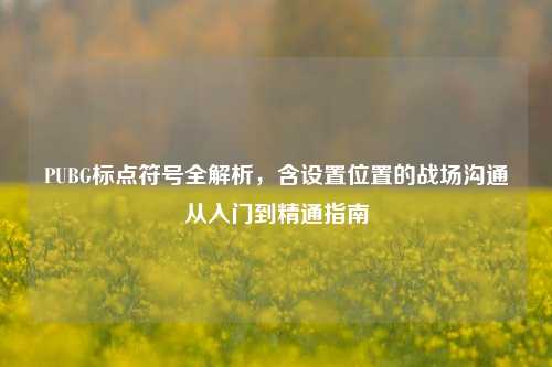 PUBG标点符号全解析,含设置位置的战场沟通从入门到精通指南
