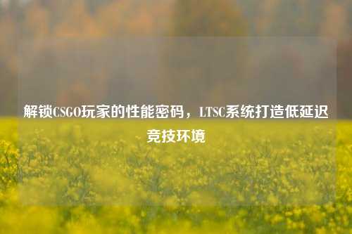 解锁CSGO玩家的性能密码，LTSC系统打造低延迟竞技环境