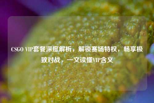 CSGO VIP套餐深度解析，解锁赛场特权，畅享极致对战，一文读懂VIP含义