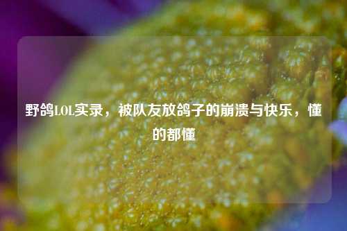 野鸽LOL实录,被队友放鸽子的崩溃与快乐,懂的都懂
