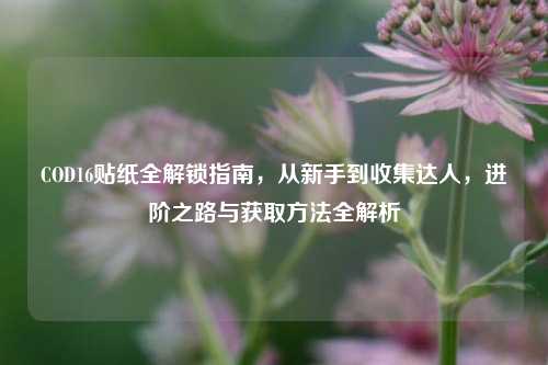 COD16贴纸全解锁指南，从新手到收集达人，进阶之路与获取方法全解析
