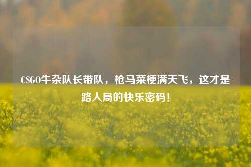 CSGO牛杂队长带队，枪马菜梗满天飞，这才是路人局的快乐密码！