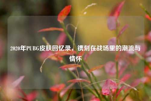 2020年PUBG皮肤回忆录，镌刻在战场里的潮流与情怀