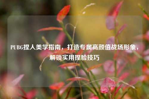 PUBG捏人美学指南，打造专属高颜值战场形象，解锁实用捏脸技巧