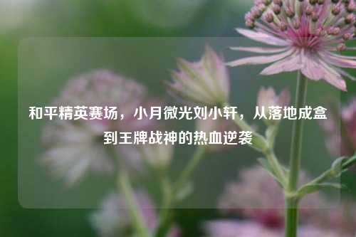 和平精英赛场,小月微光刘小轩,从落地成盒到王牌战神的热血逆袭