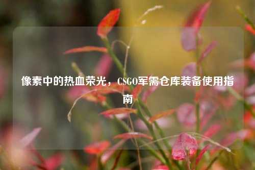 像素中的热血荣光，CSGO军需仓库装备使用指南