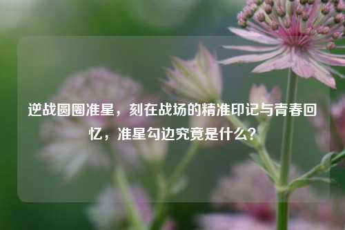 逆战圆圈准星，刻在战场的精准印记与青春回忆，准星勾边究竟是什么？