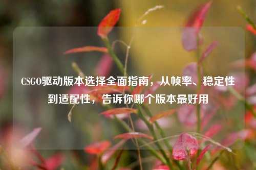 CSGO驱动版本选择全面指南，从帧率、稳定性到适配性，告诉你哪个版本最好用