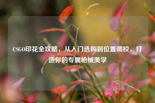 CSGO印花全攻略，从入门选购到位置调校，打造你的专属枪械美学