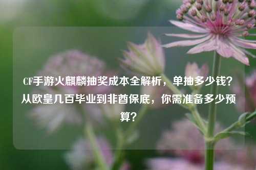 CF手游火麒麟抽奖成本全解析，单抽多少钱？从欧皇几百毕业到非酋保底，你需准备多少预算？
