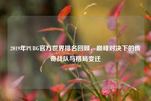 2019年PUBG官方世界排名回顾，巅峰对决下的传奇战队与格局变迁