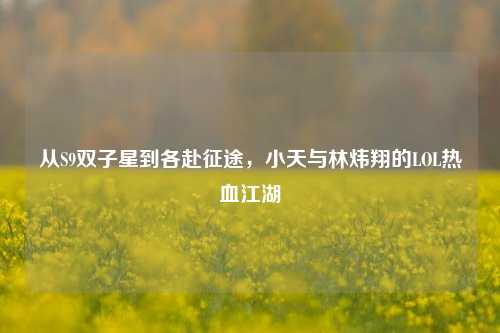 从S9双子星到各赴征途，小天与林炜翔的LOL热血江湖