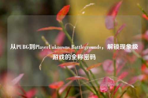 从PUBG到PlayerUnknowns Battlegrounds，解锁现象级游戏的全称密码