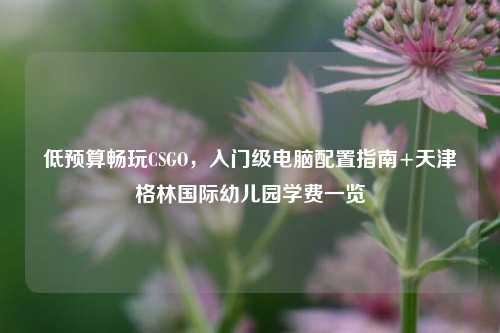 低预算畅玩CSGO，入门级电脑配置指南+天津格林国际幼儿园学费一览