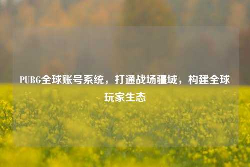 PUBG全球账号系统，打通战场疆域，构建全球玩家生态