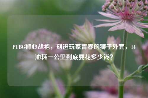 PUBG狮心战袍,刻进玩家青春的狮子外套,14油耗一公里到底要花多少钱?